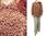 Kuschel Pullover Kiki mit großem Kragen, Merinowolle in braun zimt puder 40-46