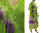 Handmade Blumen Kleid mit Schal, apfel grün lila 44-50